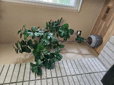 Guest review image 1 of 2, zoom in