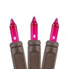 Novelty Lights 11 Feet 50 Bulbs Incandescent Mini Lights, Clear on Brown Wire with 2.5" Spacing, UL Listed for Indoor/Outdoor Use, Connectable - 3 of 4