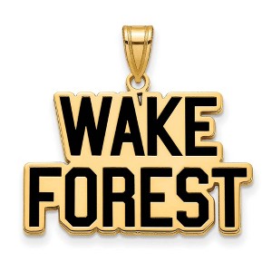 Black Bow Jewelry 14k Yellow Gold Plated Sterling Silver Wake Forest Demon Deacons NCAA Large Pendant - 1 of 3
