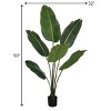 Sullivans Artificial Bird Of Paradise Foliage Tree - 3 of 4