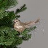 Northlight Glittered Birds Clip-On Christmas Ornaments - 7.5" - Gold - Set of 2 - 2 of 4