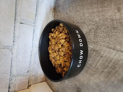 Double Wall Dog Feeding Bowl Black + Brass - Large - Boots & Barkley™ :  Target
