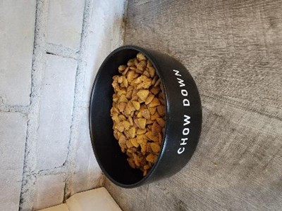 Ceramic Dog Food Bowl - Brown - 4 Cups - Boots & Barkley™ : Target