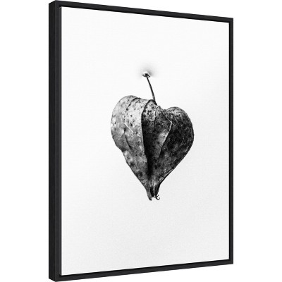 Amid the Flowers Black and White Botanical Canvas Print 18 x 24