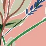 clear push pins bundle