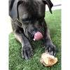 Pawstruck Natural Knee Cap Bones for Dogs - Long Lasting Meaty Chews Made in USA - Single Ingredient & No Artificial Flavors - 4 of 4