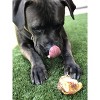 Pawstruck Natural Knee Cap Bones for Dogs - Long Lasting Meaty Chews Made in USA - Single Ingredient & No Artificial Flavors - image 4 of 4