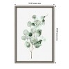 Amanti Art Tender Sprout II (Eucalyptus) by Eva Watts Canvas Wall Art Print Framed 16 x 23-in. - image 3 of 4