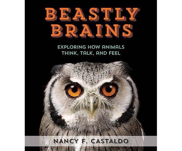 Beastly Brains - by  Nancy Castaldo (Hardcover)