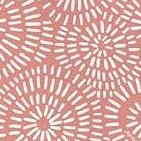 coral sand dollar