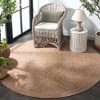 Retreat RTE254 Power Loomed UV Resistant, Stain Resistant, Non-Shedding Indoor/Outdoor Rugs - Safavieh - 3 of 4