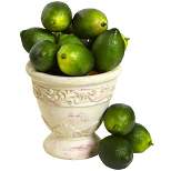 12pk Unscented Artificial Lime Vase Filler Green - Nearly Natural