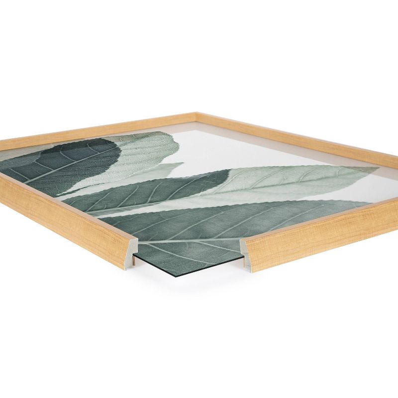 18&#34; x 24&#34; Blake Modern Leaf Botanical III Framed Printed Glass Natural/Green - Kate &#38; Laurel All Things Decor, 4 of 8