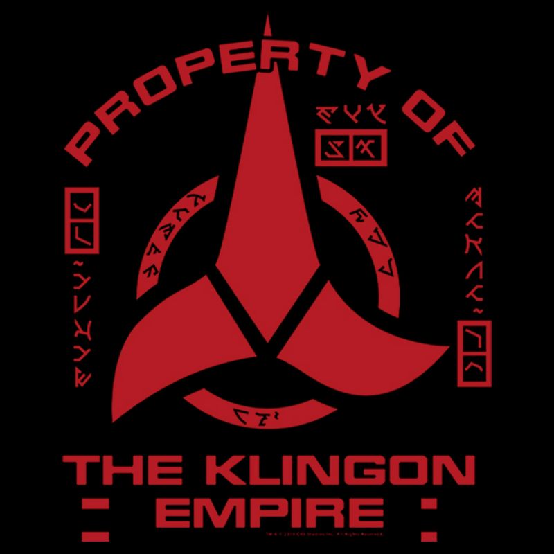 Men's Star Trek: Discovery Klingon Property Pull Over Hoodie, 2 of 5