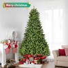 Whisen 9FT Artificial Christmas Tree with 2576 PE&PVC Mixed Branch Tips, Foldable Metal Stand - Green - 4 of 4