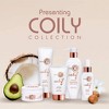 It's a 10 COILY Miracle Curl Cream (4 oz) Coily, Curly, Wavy Hair Curls & Coils - 3 of 3