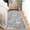 Coucheta Vintage Distressed Runner Rug Machine Washable Non-Slip Low Pile Floral Printed Hallway Kitchen Laundry Rug,Multiple sizes and colors - 3 of 4