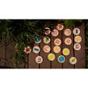 THE FRECKLED FROG Let’s Feel Tactile Disks - 4 of 4