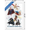 Trends International DC Comics Movie DC League Of Super-Pets - Counterparts Framed Wall Poster Prints - 3 of 4
