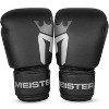 Meister CRITICAL Boxing Gloves - Matte Black - 2 of 4