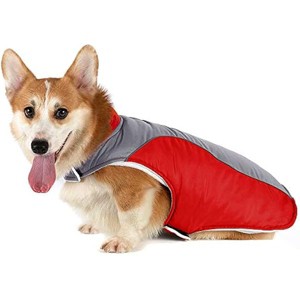 rabbitgoo Winter Coat Fleece Lined Pet Coat Warm Cotton Filling rabbitgoo  Dog Apparel Waterproof Dog Jacket with Reflecti Medium, Large Dogs - 1 of 1