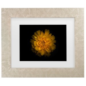 Trademark Fine Art - Brian Carson Backyard Flowers 79 Matted Framed Art - 1 of 4