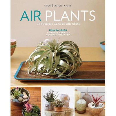 Air Plants - by  Zenaida Sengo (Paperback)