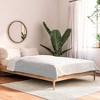 Schatzi Brown Nora Tile Comforter Set Cream - Deny Designs - 2 of 4