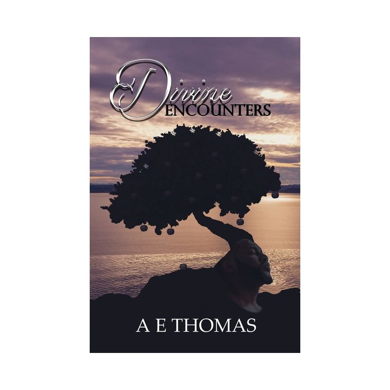 Divine Encounters - by  Ae Thomas (Paperback), 1 of 2