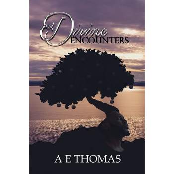 Divine Encounters - by  Ae Thomas (Paperback)