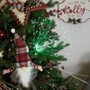 Northlight 20" LED Lighted Firework Silver Branch Christmas Decoration - Green Lights - 2 of 4
