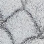 scallop texture steel gray