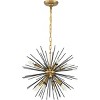 Elegant Lighting Timber 8 light Brass and Black pendant - 3 of 4