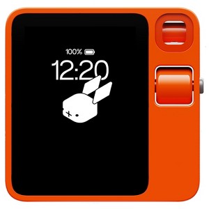 Rabbit r1 AI Voice-Activated Gadget w/ AI Note Taker, Vibe Coding