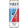 Vizzy Blueberry Pomegranate - 12pk /12 fl oz Cans - 4 of 4