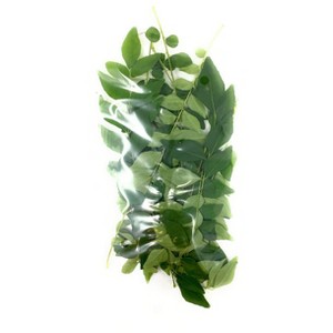 Rani Brand Authentic Indian Foods | Fresh Leaves - 1 of 3