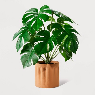 13+ Target Fake Plant