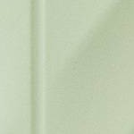 Glossy Mint