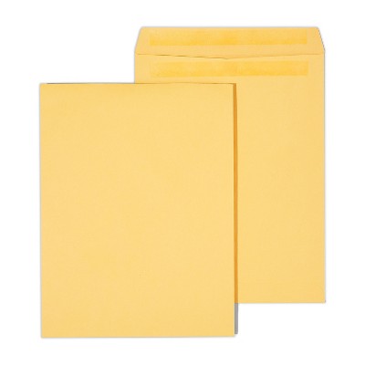 HITOUCH BUSINESS SERVICES Self Seal Catalog Envelopes 10"L x 13"H Brown 250/Box 486933/14247