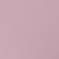 dawn pink