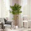 Syemin Artificial Plants Elegant Artificial Bamboo Lush Bamboo Groves No Leaf Cleaning Trouble for Small Spaces, Green, 65"*10"*9.75" - 2 of 4