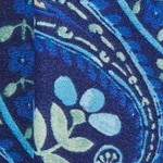 navy paisley