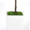 MOEPISY Artificial Olive Tree 7ft With Pot And Moss - 3 of 4
