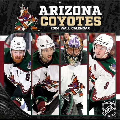 Nhl Colorado Avalanche 12x 12 2024 Wall Calendar : Target