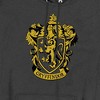 Harry Potter Gryffindor Crest Pullover Hoodie - 2 of 4