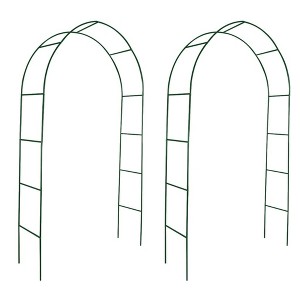 VidaXL Garden Arch 2 pcs Climbing Plants - 1 of 4