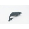 Collectible Wildlife Gifts | Sperm Whale Baby, Cetacean, Marine Mammal, Museum Quality, Hand Painted, Rubber Animal, Toy , Gift,  5"  CH322 BB132 - 4 of 4