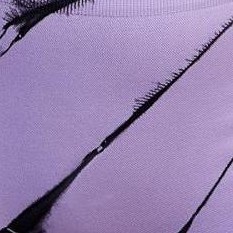 2 purple