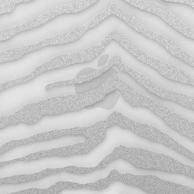 Zebra Silver
