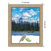 Amanti Art Astor Champagne Picture Frames - 4 of 4